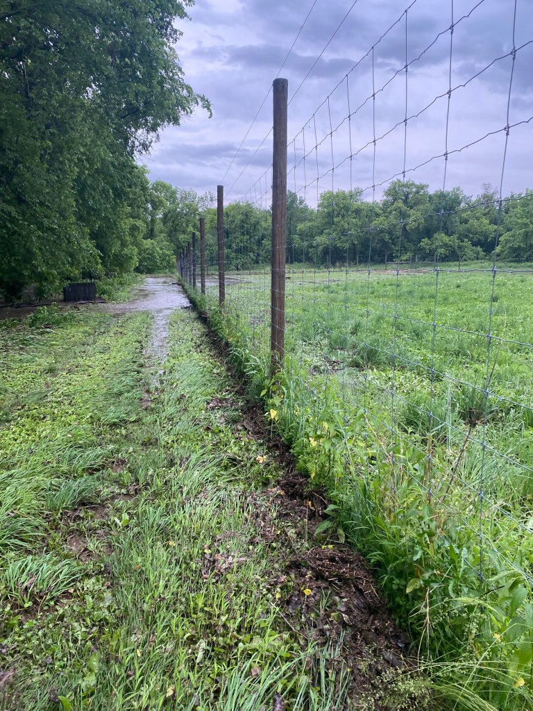 Picture showing water overflowing an adjacent stream and flooding part of a farm field.