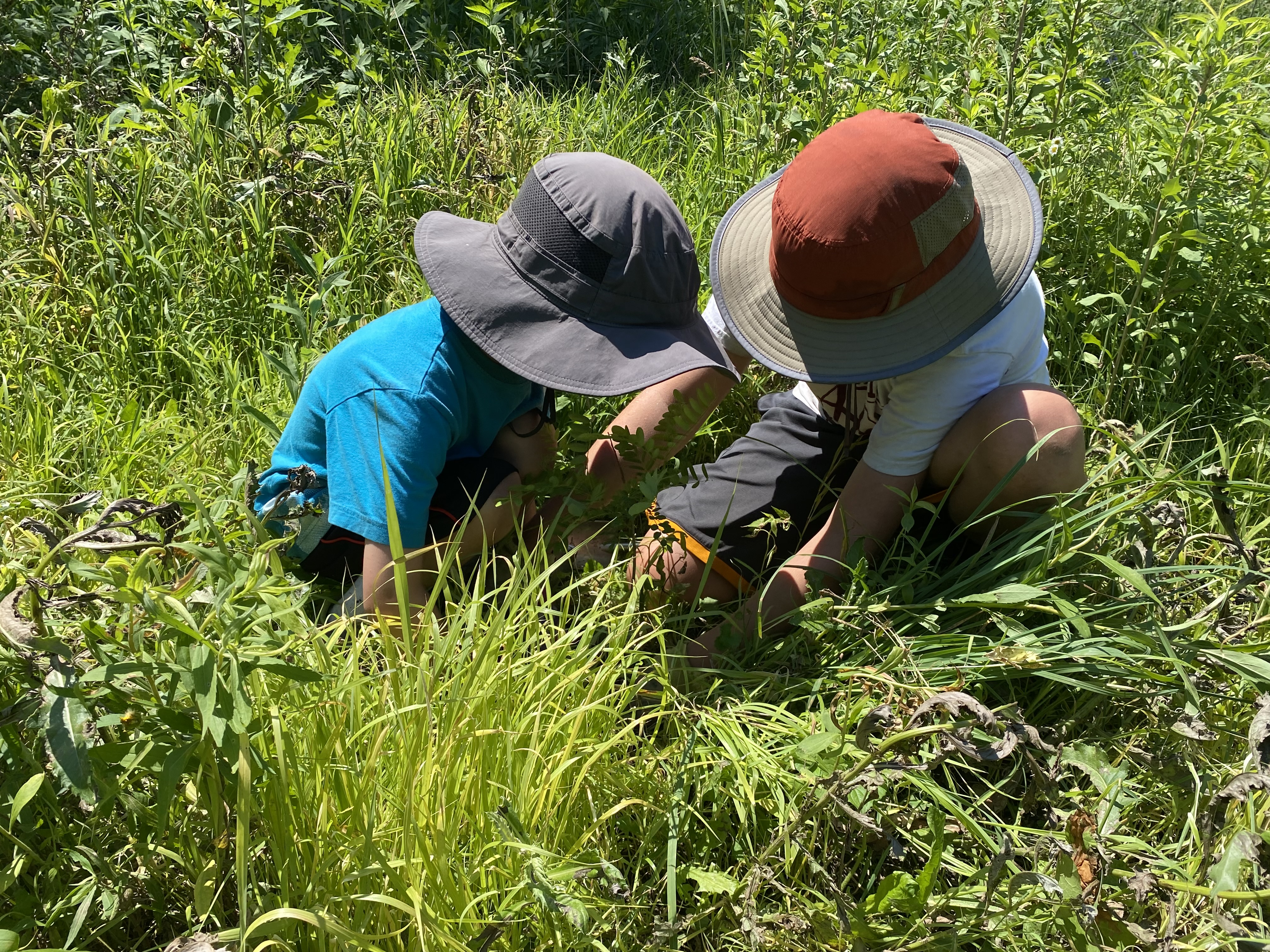 Two kids are bending over, each wearing a wide-brimmed sun hat so you can't see their faces, and they are placing a native plant in the ground. They are surrounded by grasses and other green plants.