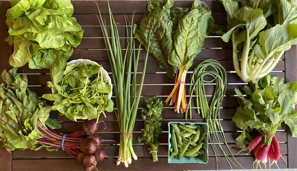Brown wooden table displaying vegetables, including green lettuce, red beets, arugula, scallions, cilantro, snap peas, garlic scapes, radishes, Bok choy, and Swiss chard.