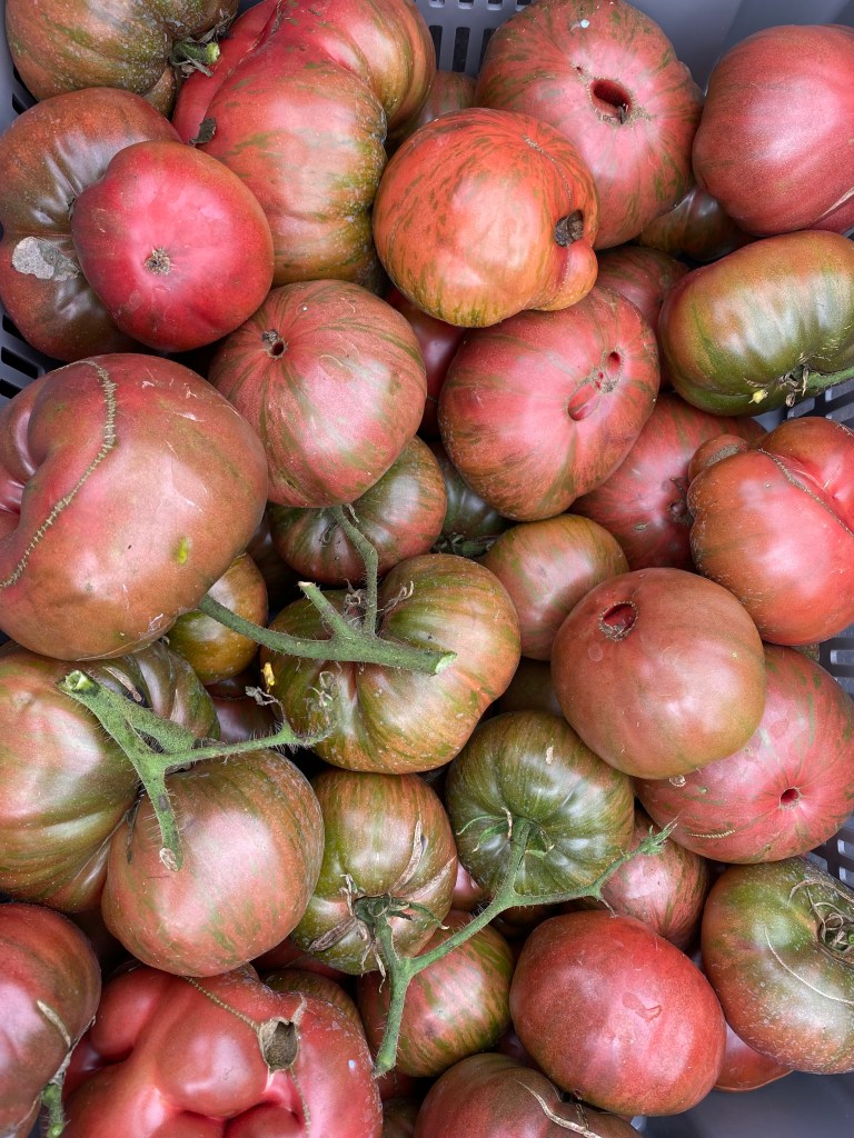 Pile of heirloom tomatoes.