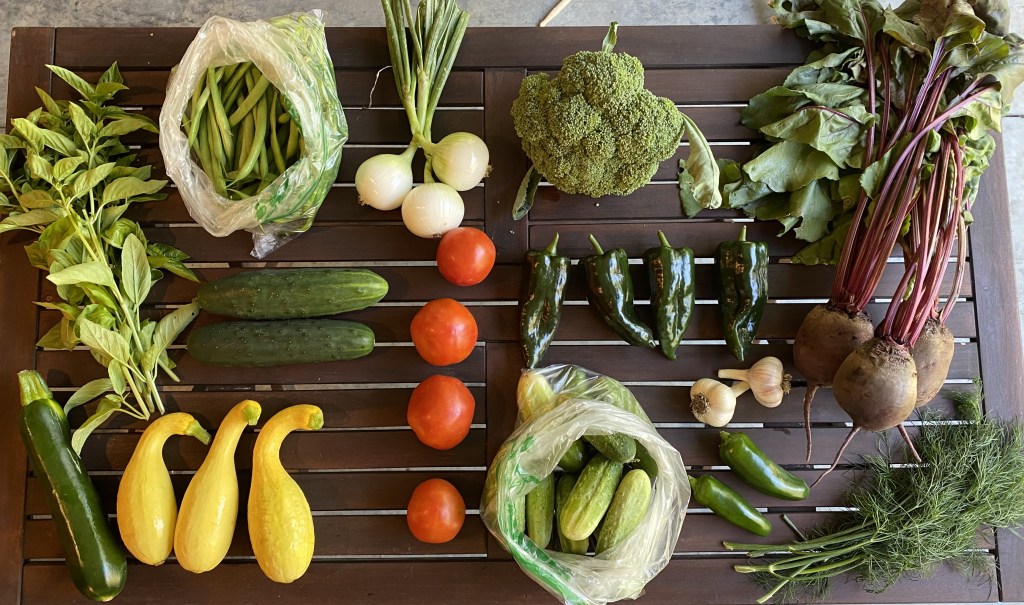 Brown wooden table displaying vegetables, including basil, green beans, white onions, broccoli, red beets, dill, jalapeno peppers, poblano peppers, pickling cucumbers, tomatoes, English cucumbers, yellow summer squash, and zucchini.