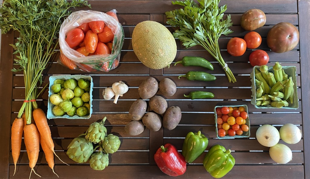 Brown wooden table with different vegetables on it, including carrots, paste tomatoes, cantaloupe, jalapeno peppers, parsley, slicer tomatoes, heirloom tomatoes, okra, white onions, cherry tomatoes, green and red peppers, blue potatoes, garlic bulbs, tomatillos, and artichokes.
