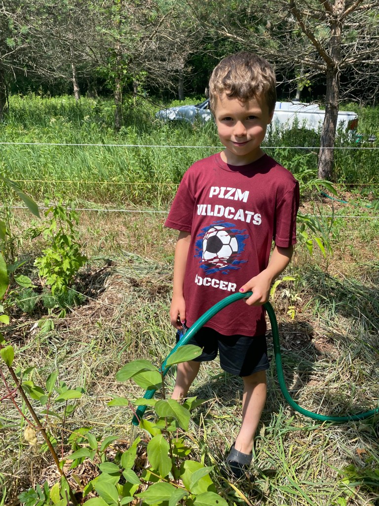 Kid with hose watering shrub.